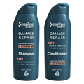 Damage Repair