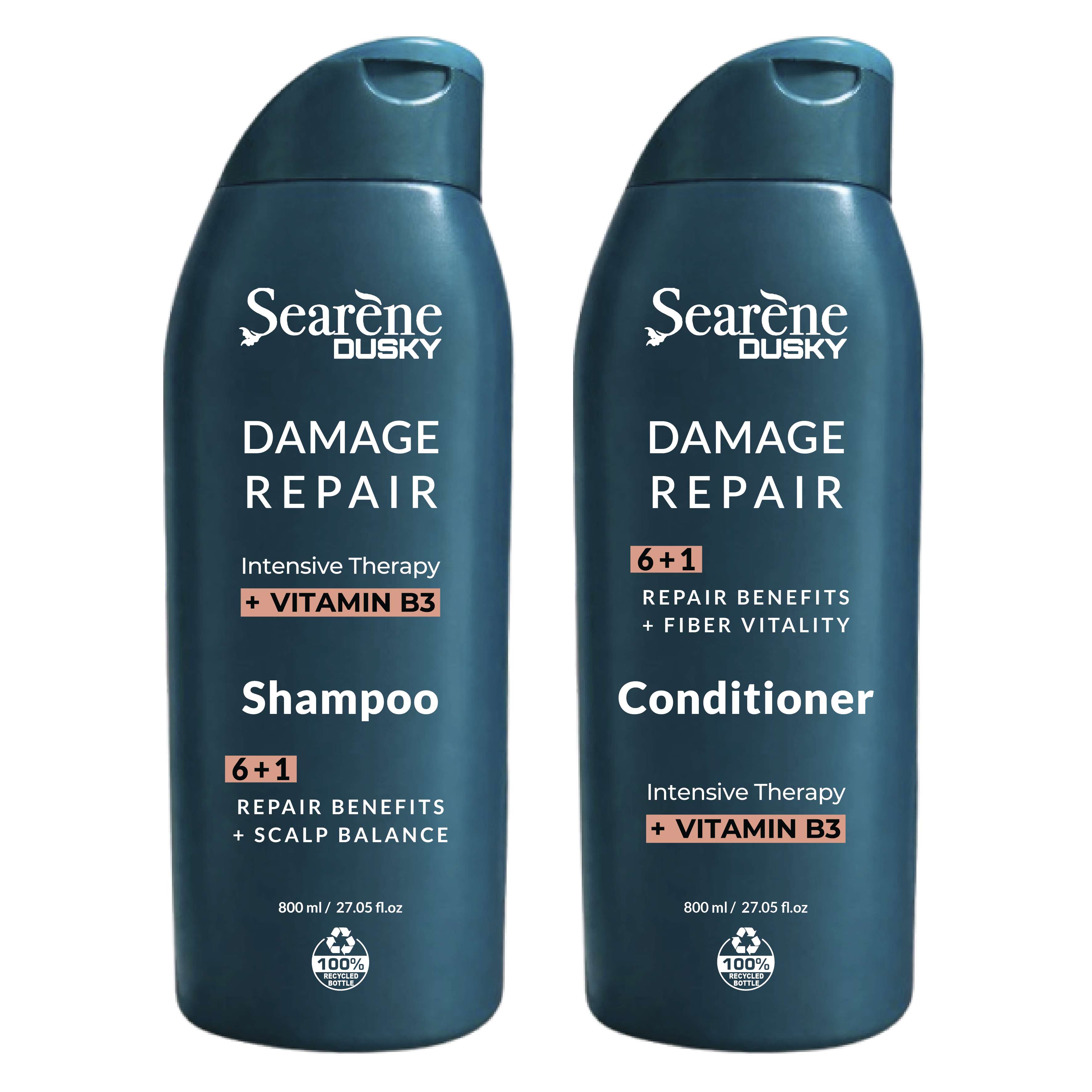 Damage Repair